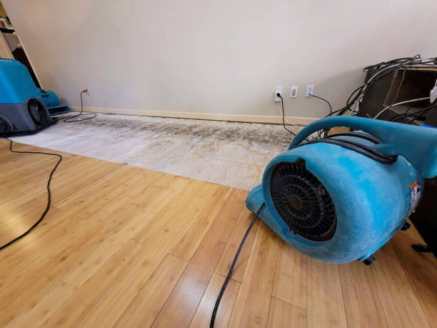 Professional Flood Damage Cleanup technician working in Oakland, MI